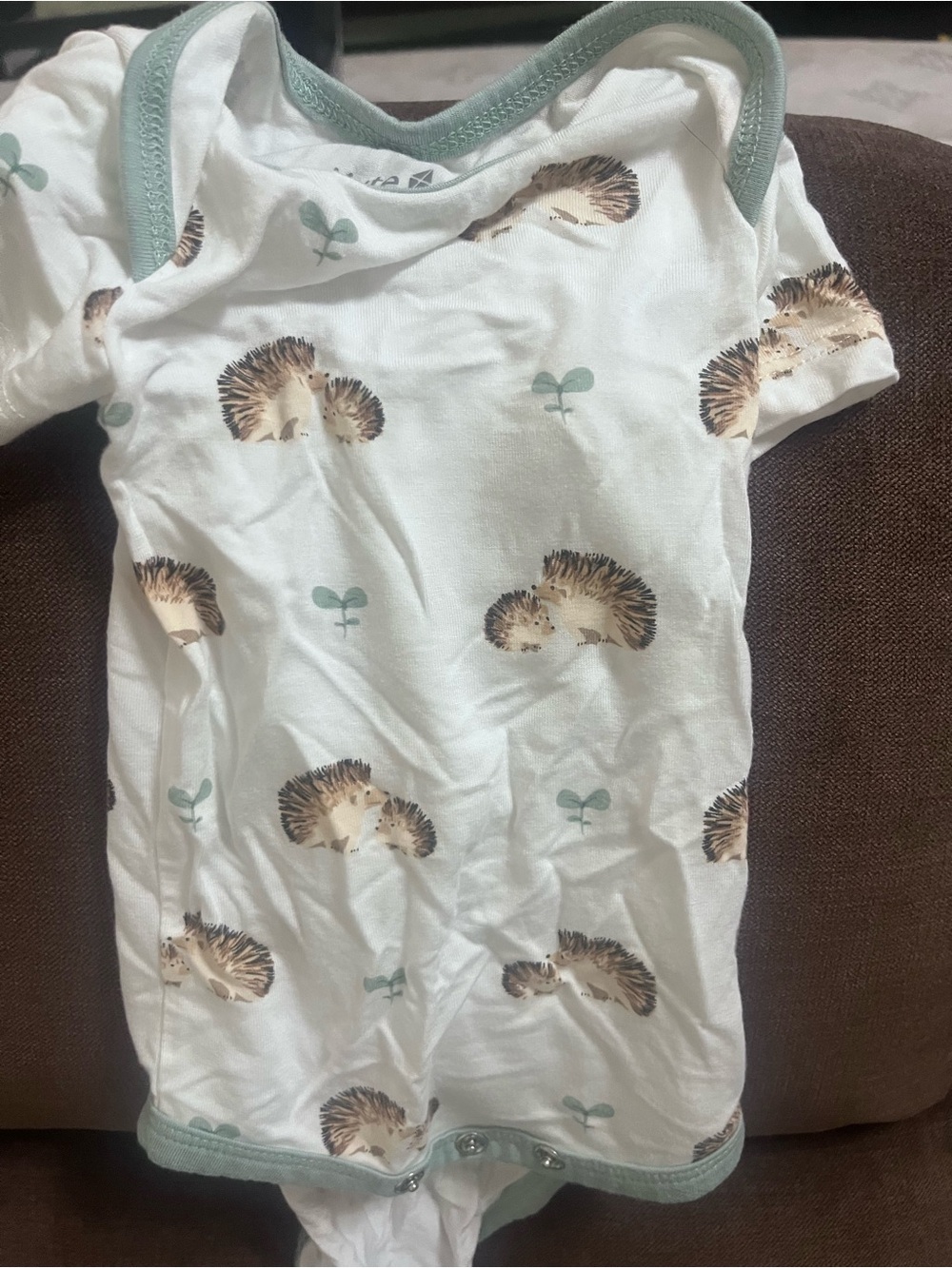 Kyte baby White Baby Onesie with Hedgehog Print and Mint Trim